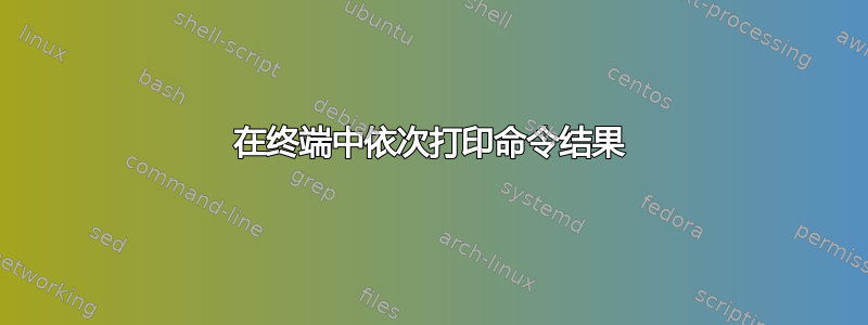 在终端中依次打印命令结果