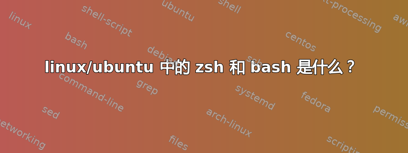 linux/ubuntu 中的 zsh 和 bash 是什么？