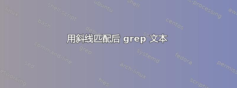 用斜线匹配后 grep 文本