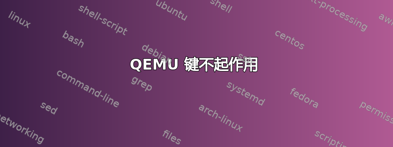 QEMU 键不起作用