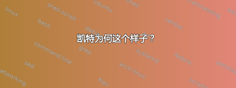 凯特为何这个样子？