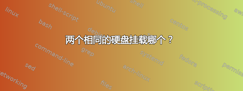 两个相同的硬盘挂载哪个？