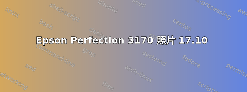 Epson Perfection 3170 照片 17.10