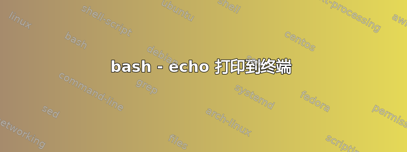 bash - echo 打印到终端