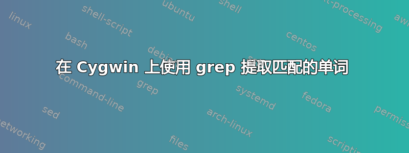 在 Cygwin 上使用 grep 提取匹配的单词