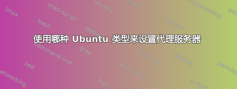 使用哪种 Ubuntu 类型来设置代理服务器