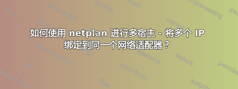 如何使用 netplan 进行多宿主 - 将多个 IP 绑定到同一个网络适配器？