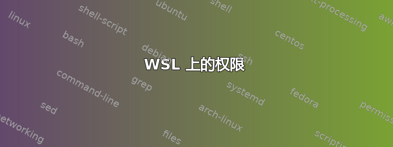 WSL 上的权限