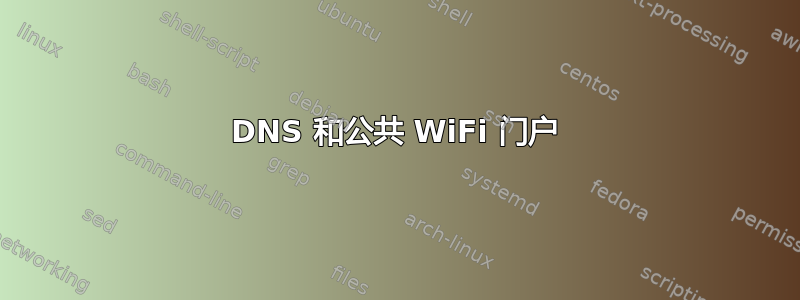 DNS 和公共 WiFi 门户