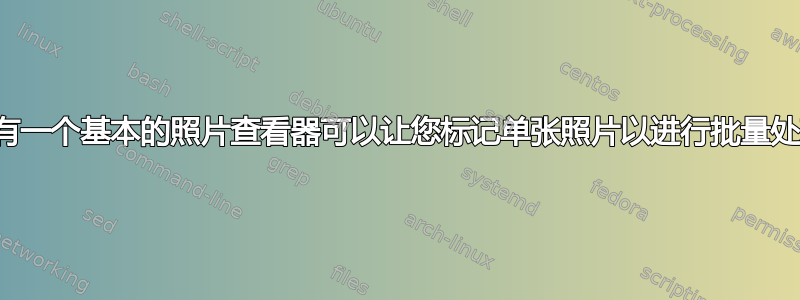 是否有一个基本的照片查看器可以让您标记单张照片以进行批量处理？