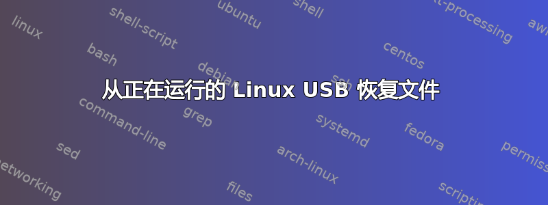 从正在运行的 Linux USB 恢复文件