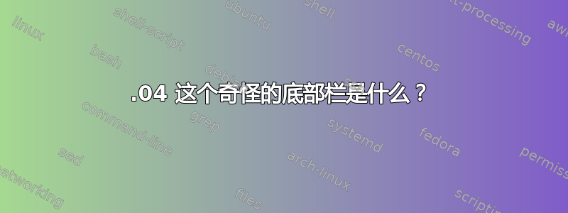 18.04 这个奇怪的底部栏是什么？