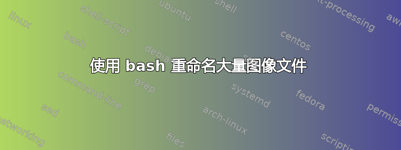 使用 bash 重命名大量图像文件