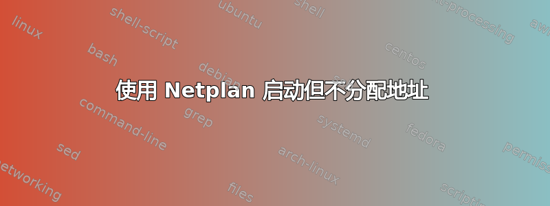 使用 Netplan 启动但不分配地址