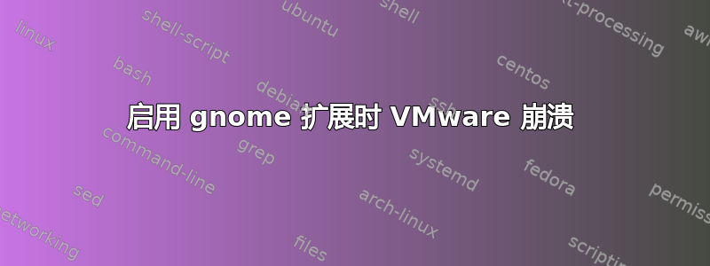 启用 gnome 扩展时 VMware 崩溃