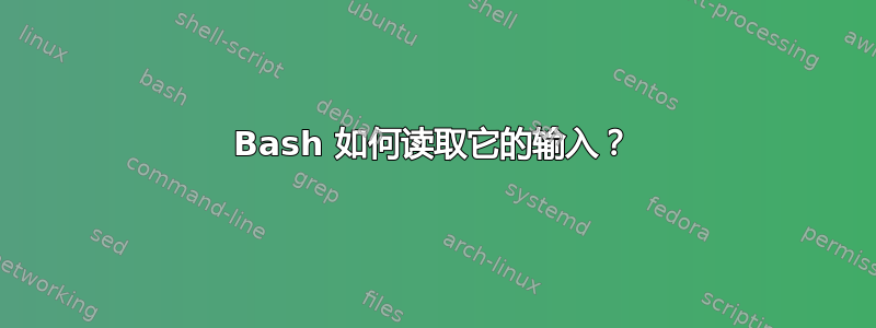 Bash 如何读取它的输入？