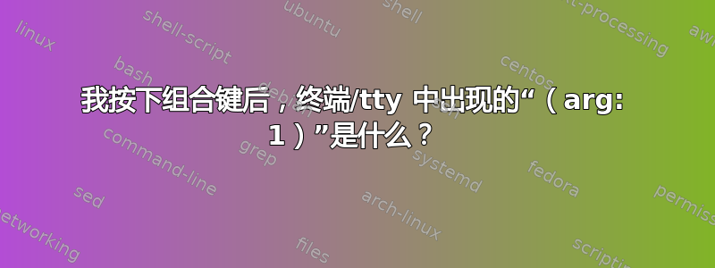 我按下组合键后，终端/tty 中出现的“（arg: 1）”是什么？