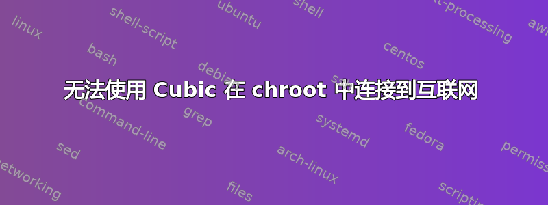 无法使用 Cubic 在 chroot 中连接到互联网