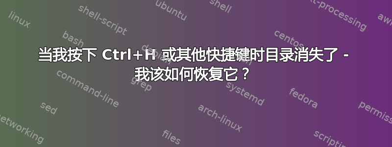 当我按下 Ctrl+H 或其他快捷键时目录消失了 - 我该如何恢复它？