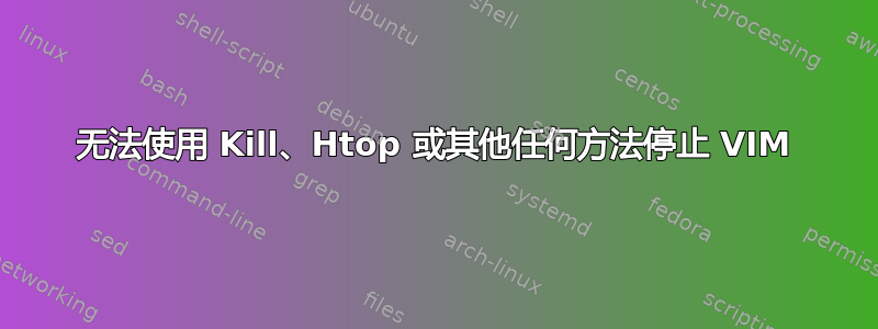 无法使用 Kill、Htop 或其他任何方法停止 VIM