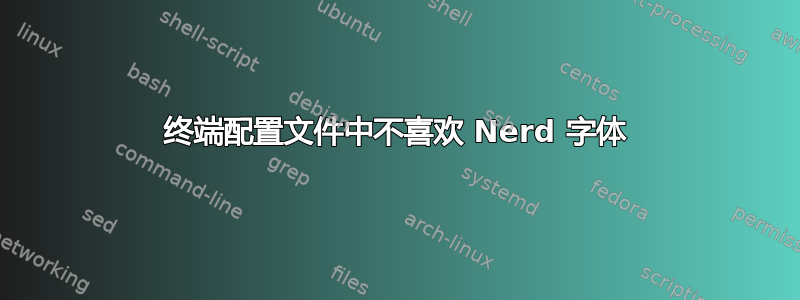 终端配置文件中不喜欢 Nerd 字体