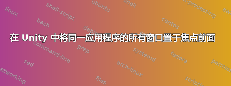 在 Unity 中将同一应用程序的所有窗口置于焦点前面 