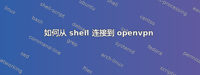 如何从 shell 连接到 openvpn