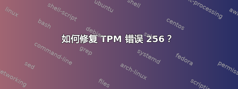 如何修复 TPM 错误 256？