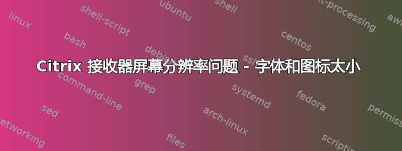 Citrix 接收器屏幕分辨率问题 - 字体和图标太小