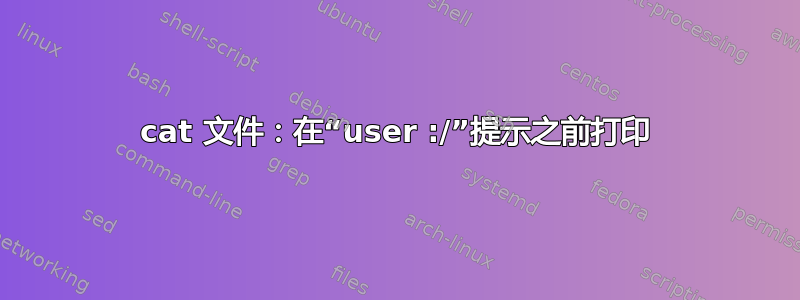 cat 文件：在“user :/”提示之前打印