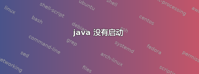 java 没有启动