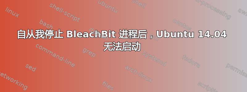 自从我停止 BleachBit 进程后，Ubuntu 14.04 无法启动