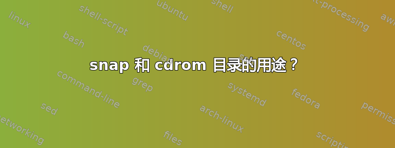 snap 和 cdrom 目录的用途？