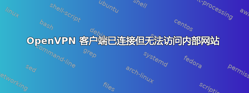 OpenVPN 客户端已连接但无法访问内部网站