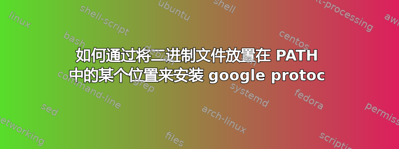 如何通过将二进制文件放置在 PATH 中的某个位置来安装 google protoc