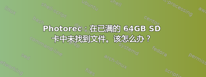 Photorec：在已满的 64GB SD 卡中未找到文件。该怎么办？