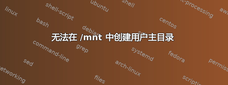 无法在 /mnt 中创建用户主目录