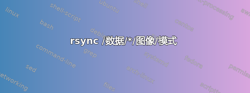 rsync /数据/*/图像/模式