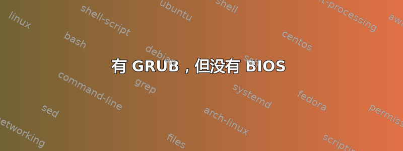 有 GRUB，但没有 BIOS