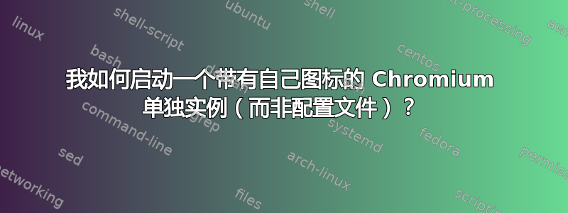 我如何启动一个带有自己图标的 Chromium 单独实例（而非配置文件）？