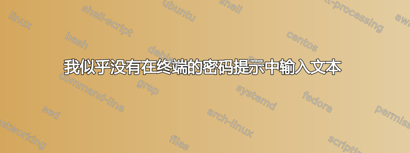 我似乎没有在终端的密码提示中输入文本