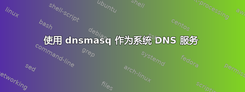 使用 dnsmasq 作为系统 DNS 服务