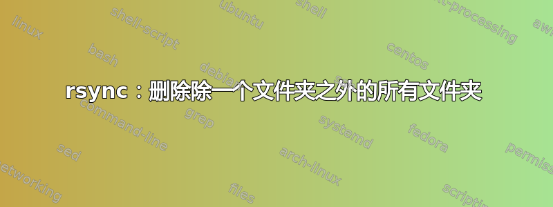 rsync：删除除一个文件夹之外的所有文件夹