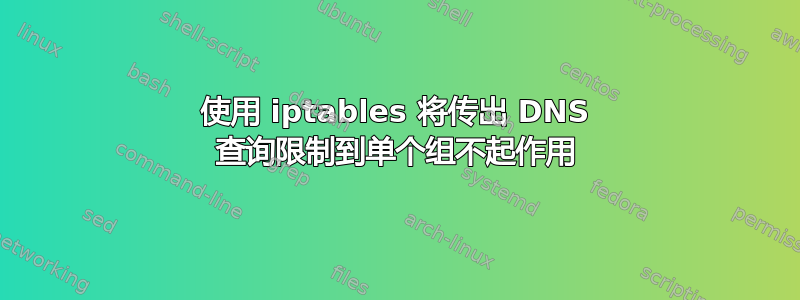 使用 iptables 将传出 DNS 查询限制到单个组不起作用