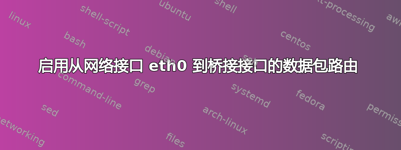 启用从网络接口 eth0 到桥接接口的数据包路由