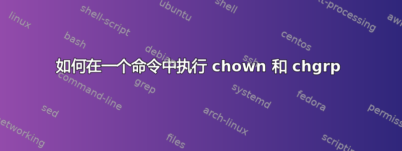 如何在一个命令中执行 chown 和 chgrp