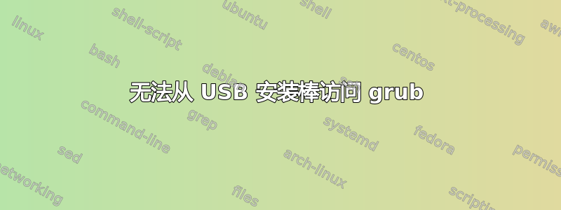 无法从 USB 安装棒访问 grub