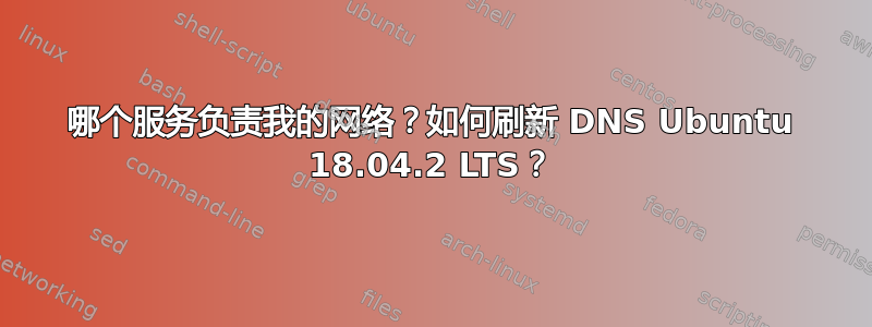 哪个服务负责我的网络？如何刷新 DNS Ubuntu 18.04.2 LTS？