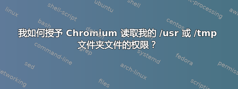 我如何授予 Chromium 读取我的 /usr 或 /tmp 文件夹文件的权限？