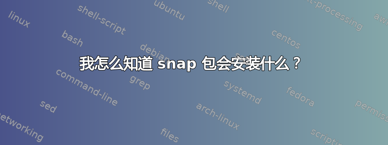 我怎么知道 snap 包会安装什么？